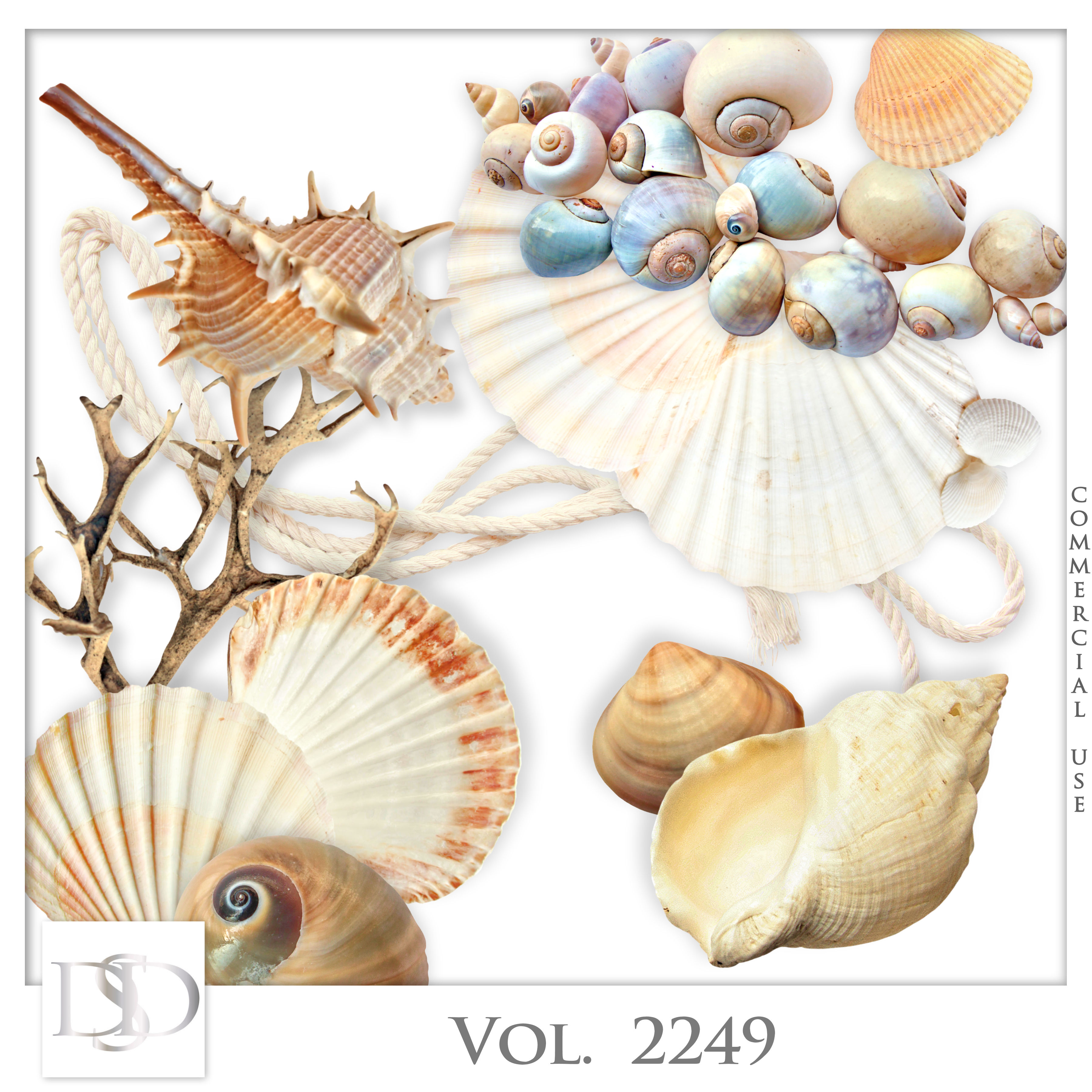 Dsd cuvol2249