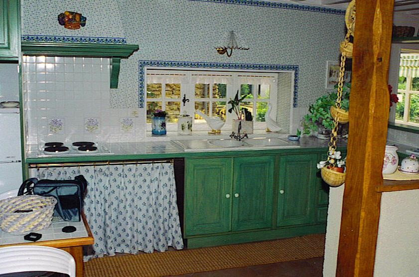 Cuisine mouchon 2