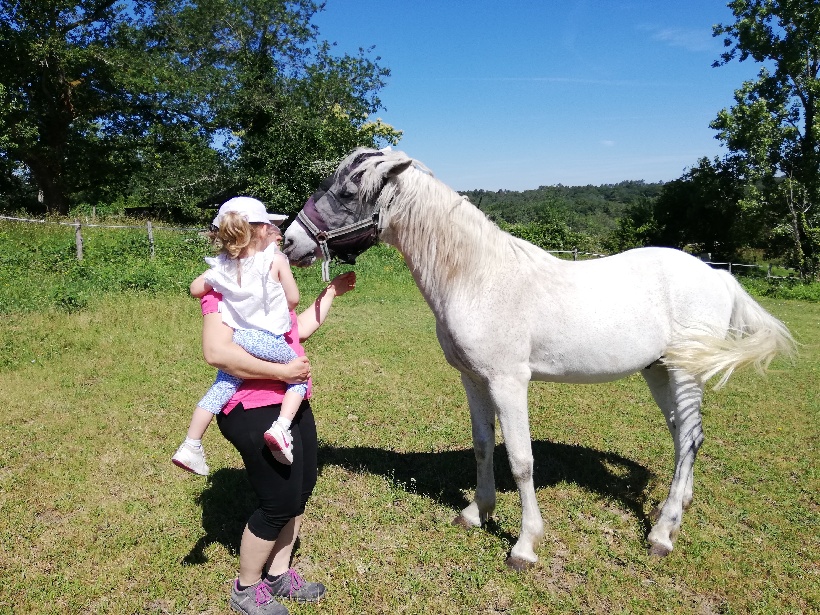 Chevaux-1-913-