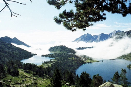 Beaute pyrenees 552074