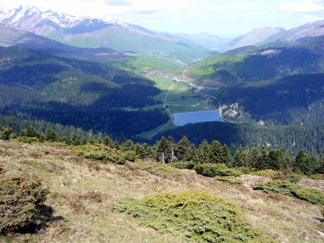 Aspin53