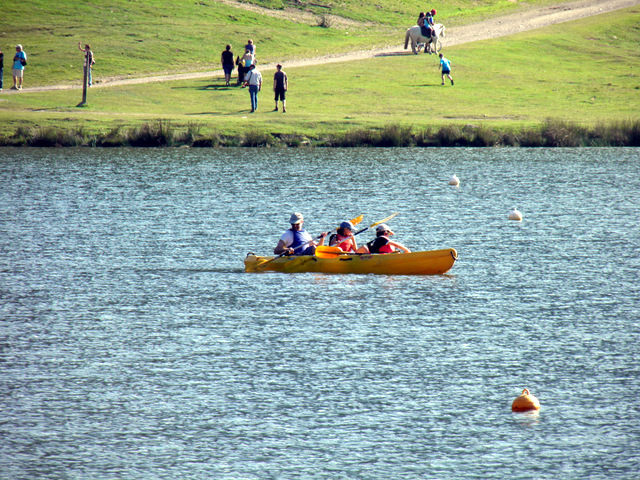 P8250022 1