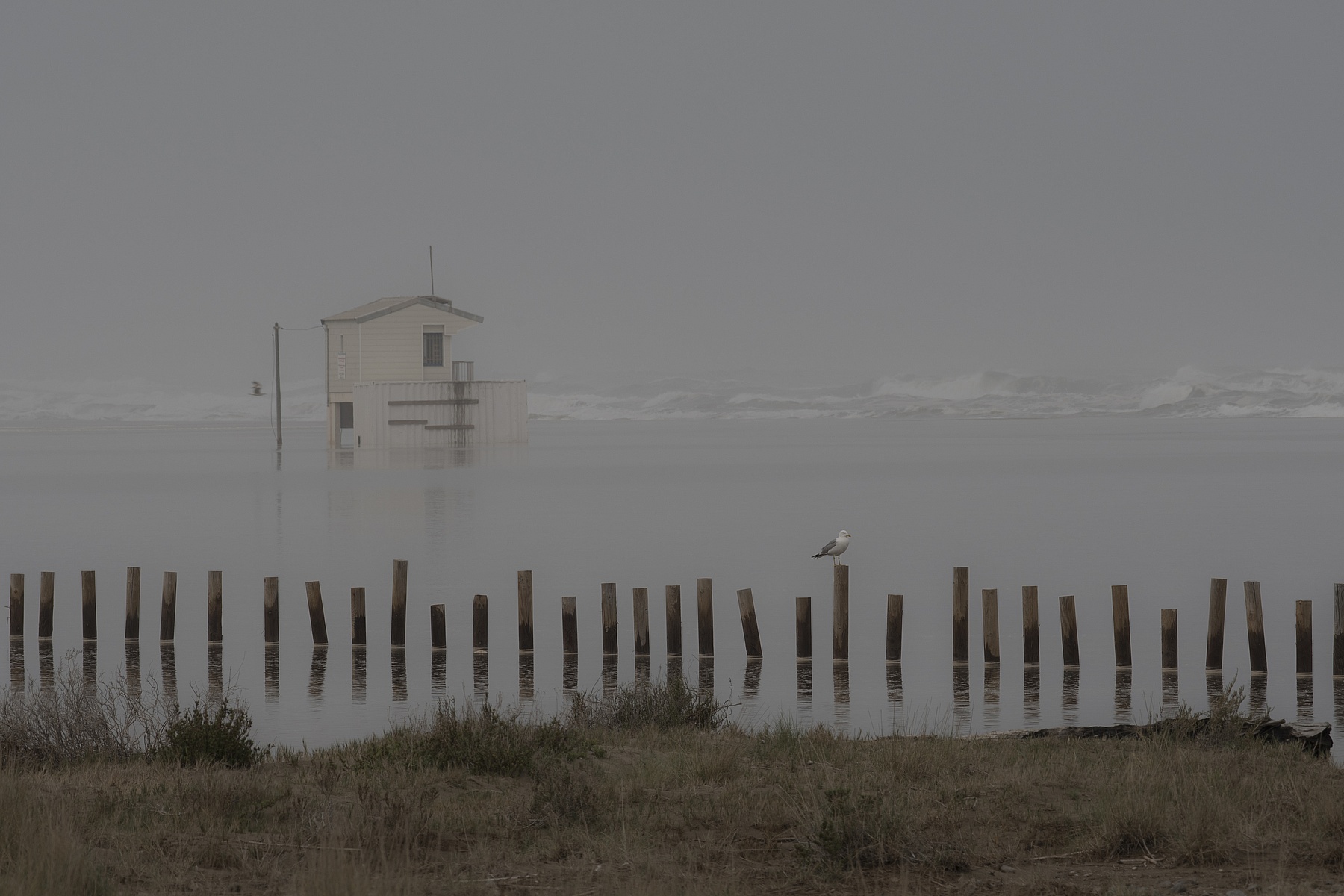 Cabane mer 2
