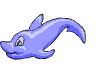 Dolphin5