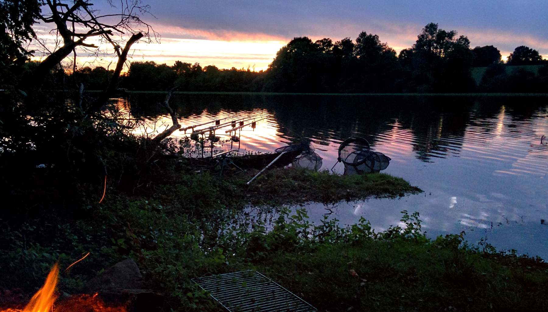 Bord de vienne