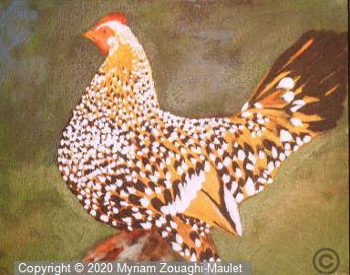 Pekin fauve