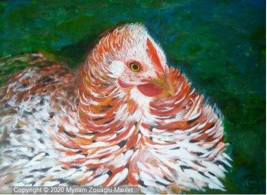Pekin mille fleurs frise