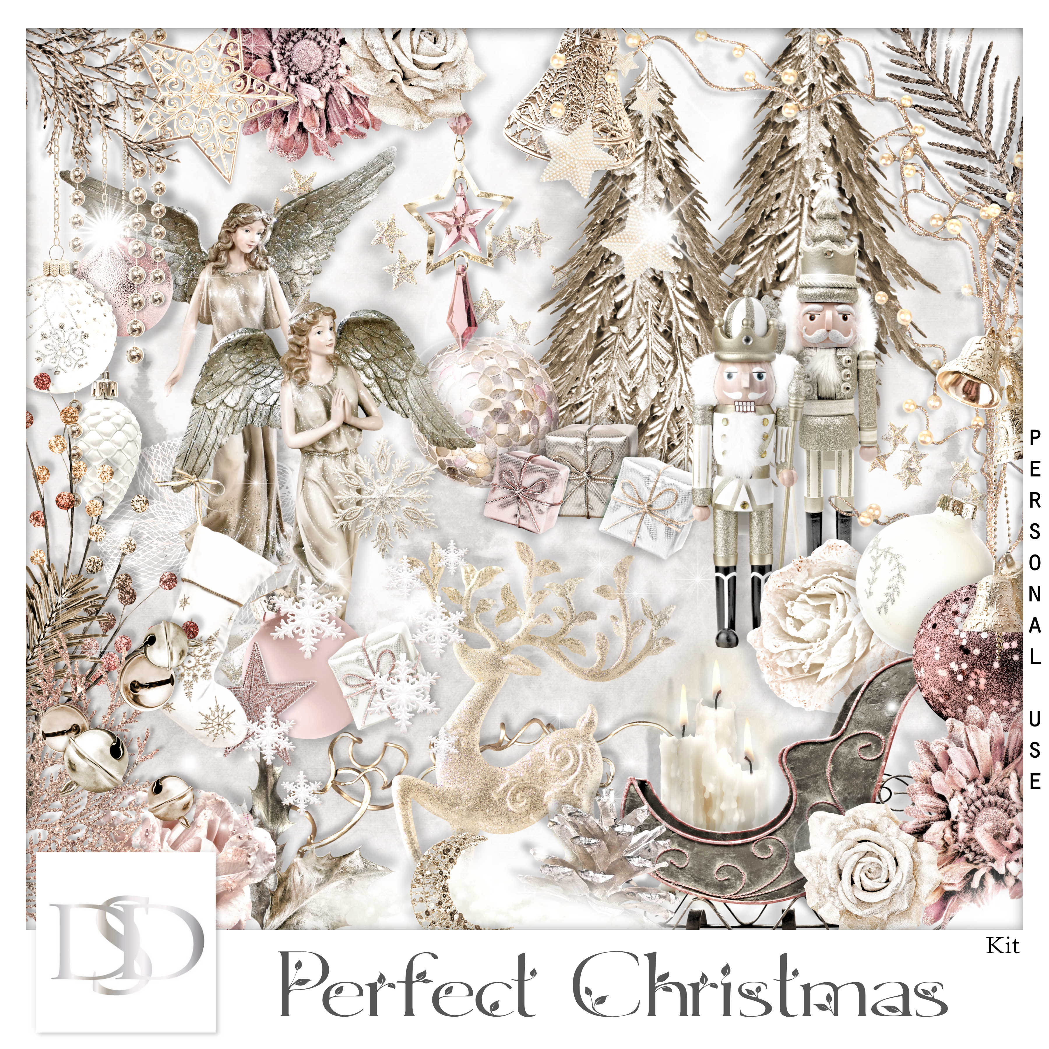 Dsd perfectchristmas