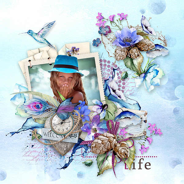 Inspiration 14 