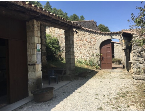 Image 04 12 2024 a 12 06