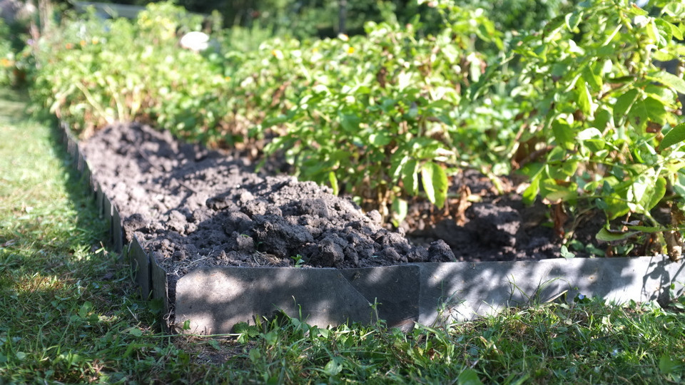 Réaliser un potager ou un massif