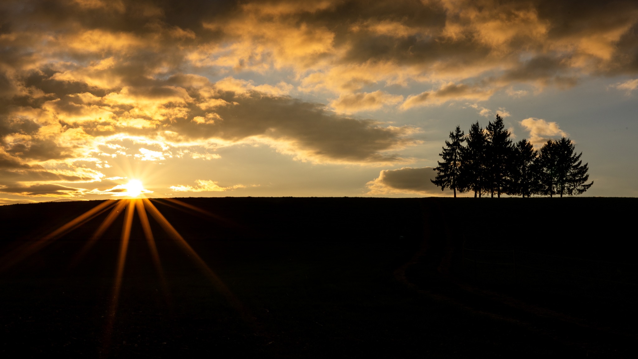 Paysage