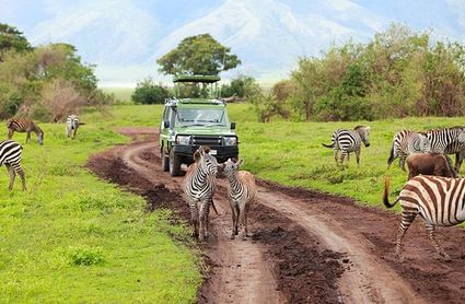 Tanzania safari l