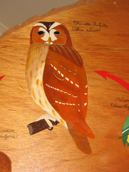 Chouette hulotte 150