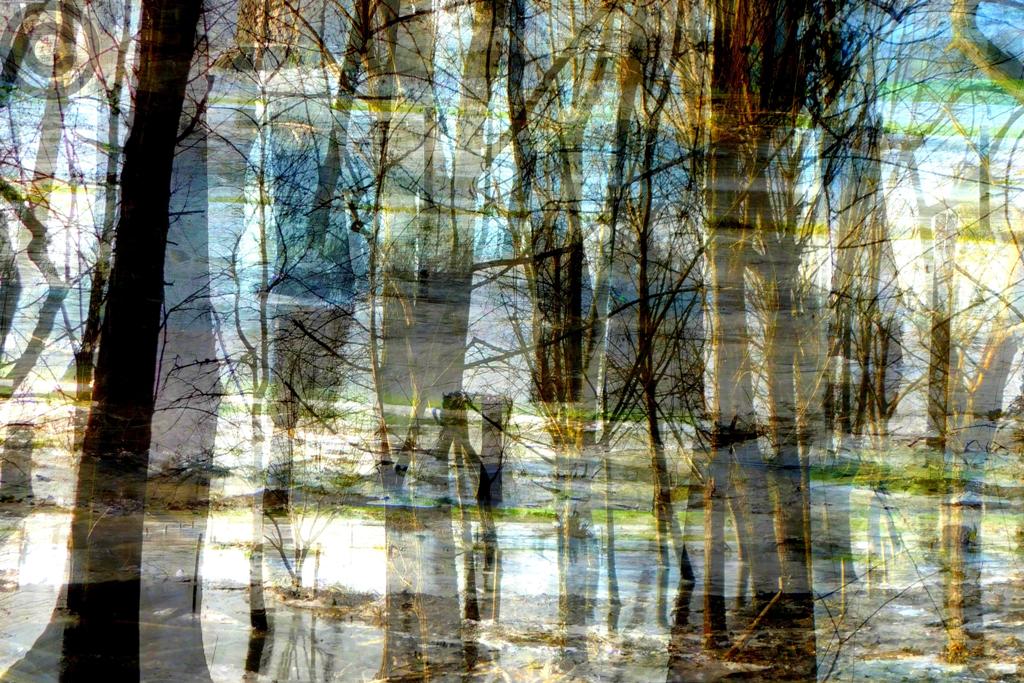 1 giverny 13 fevrier 2021 9h30 c2i mini