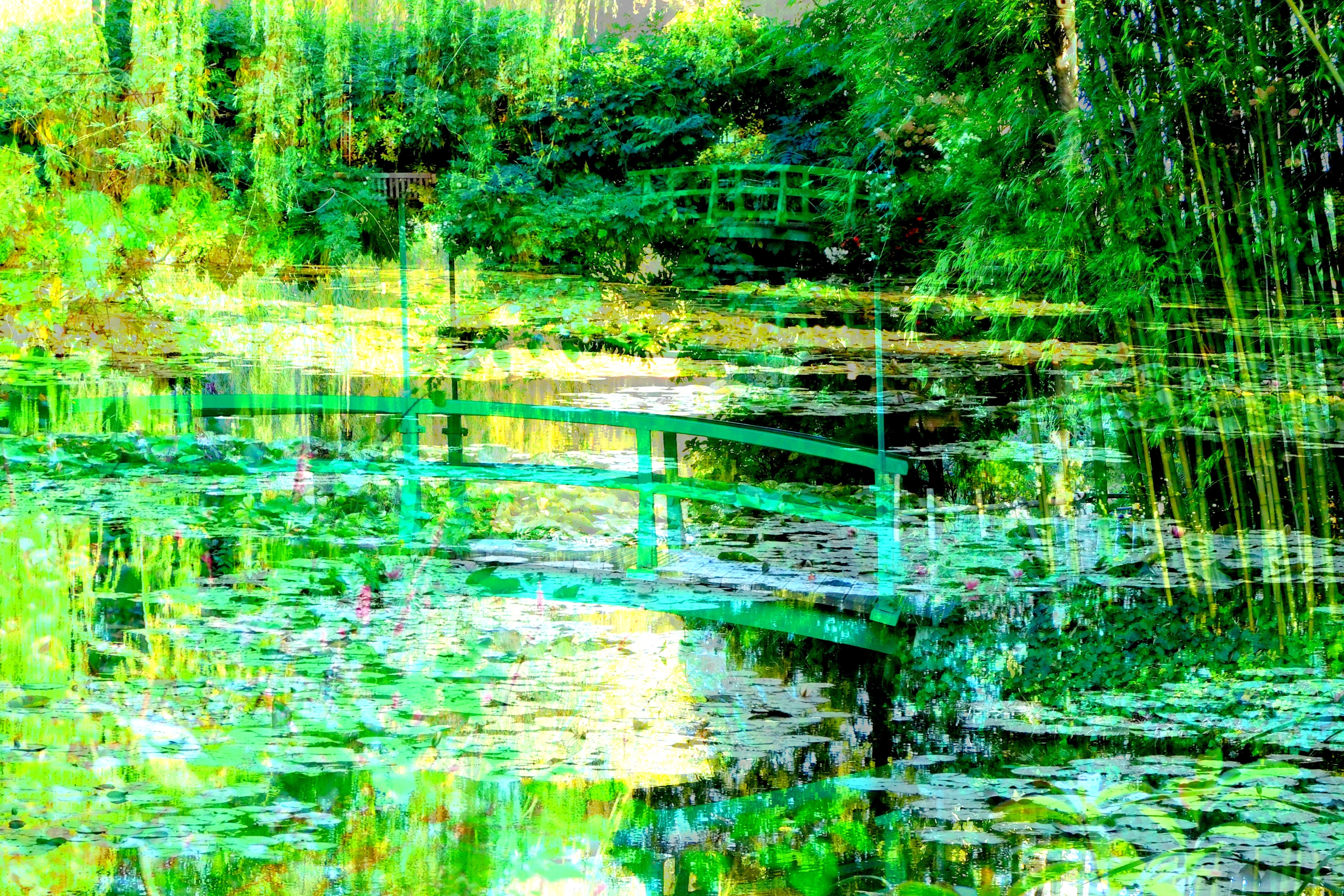 Photo 14 03 2023 17 41 52