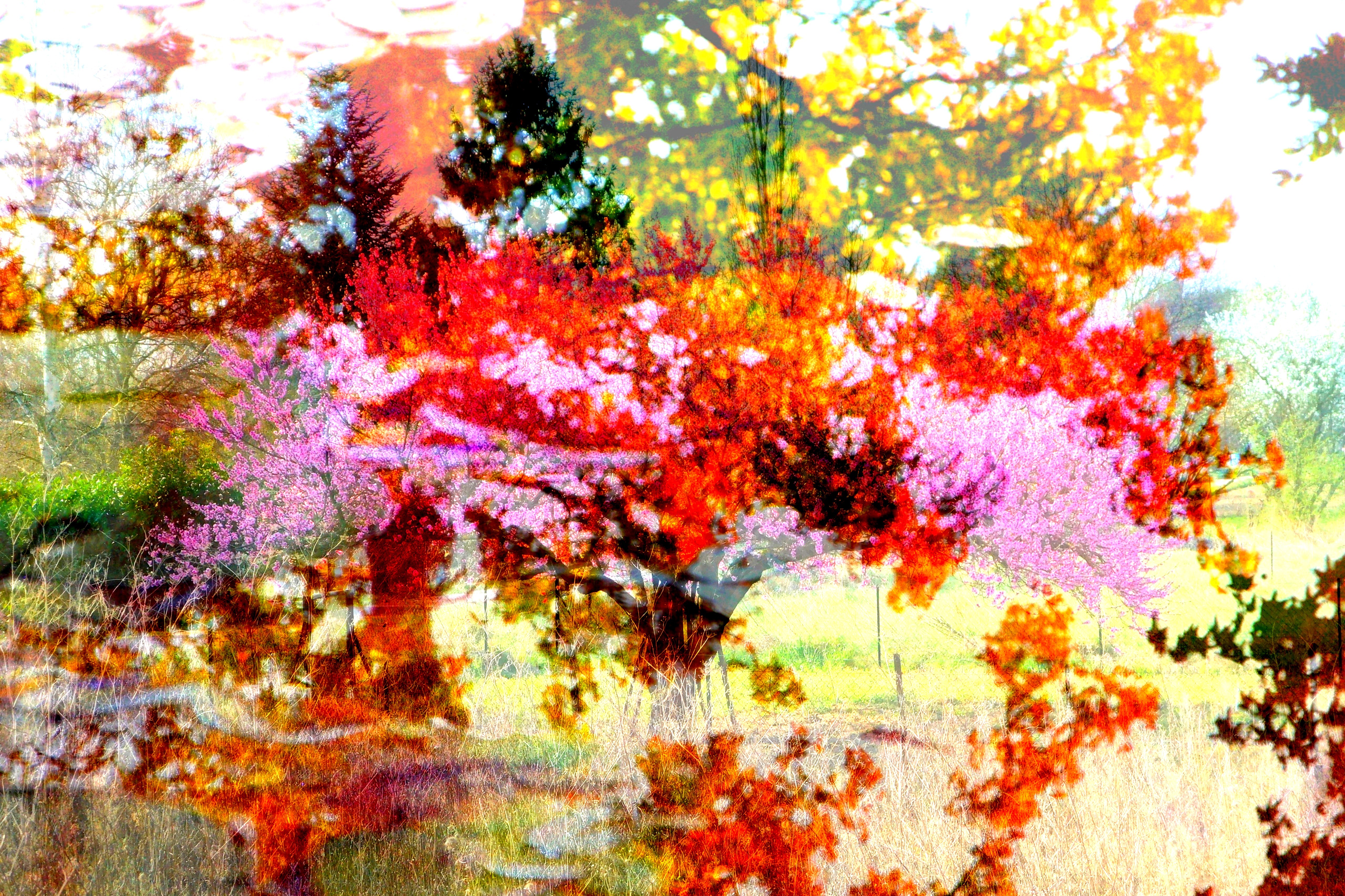 Photo 04 04 2024 16 59 41