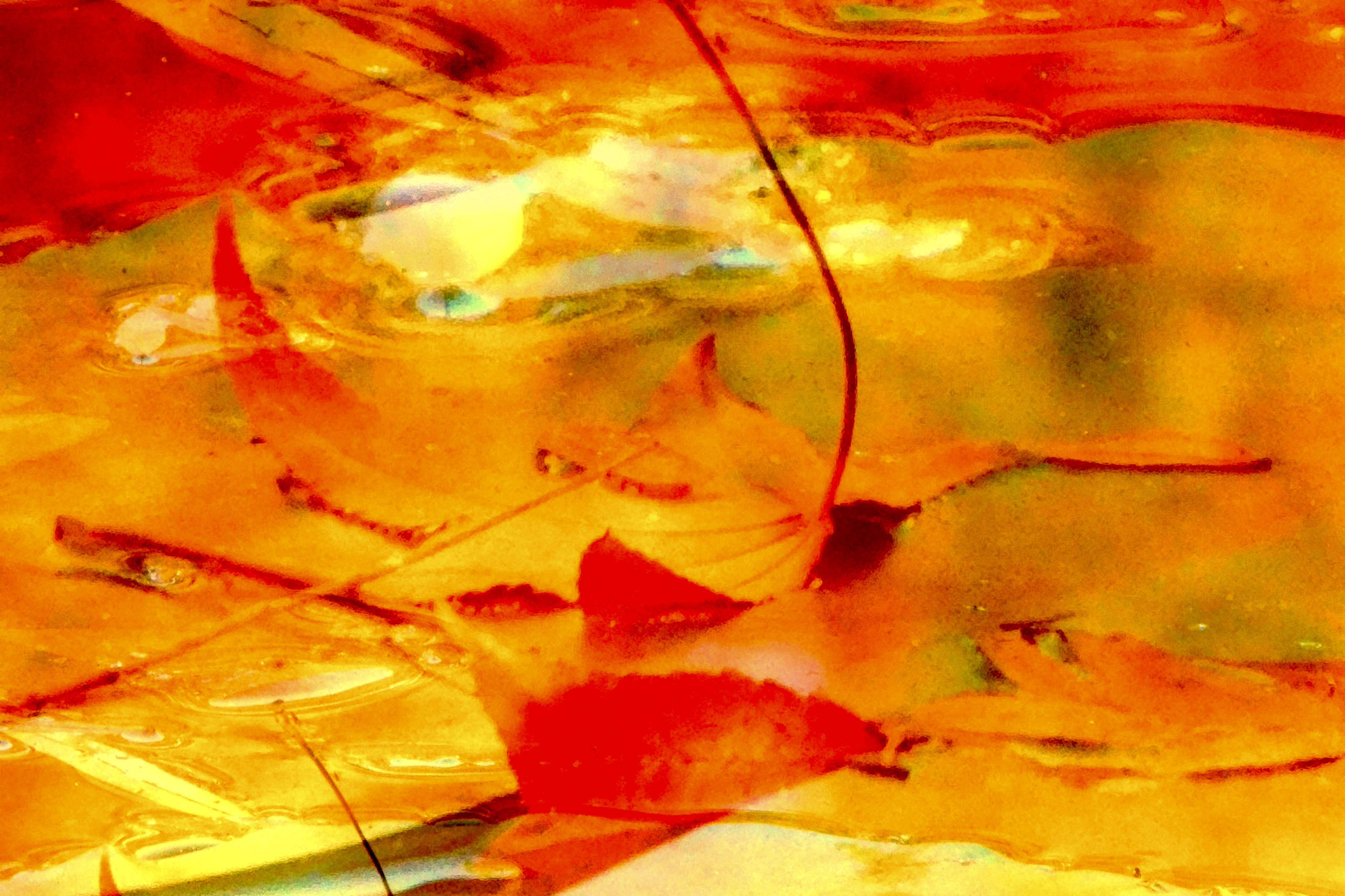 Photo 12 02 2023 17 18 16