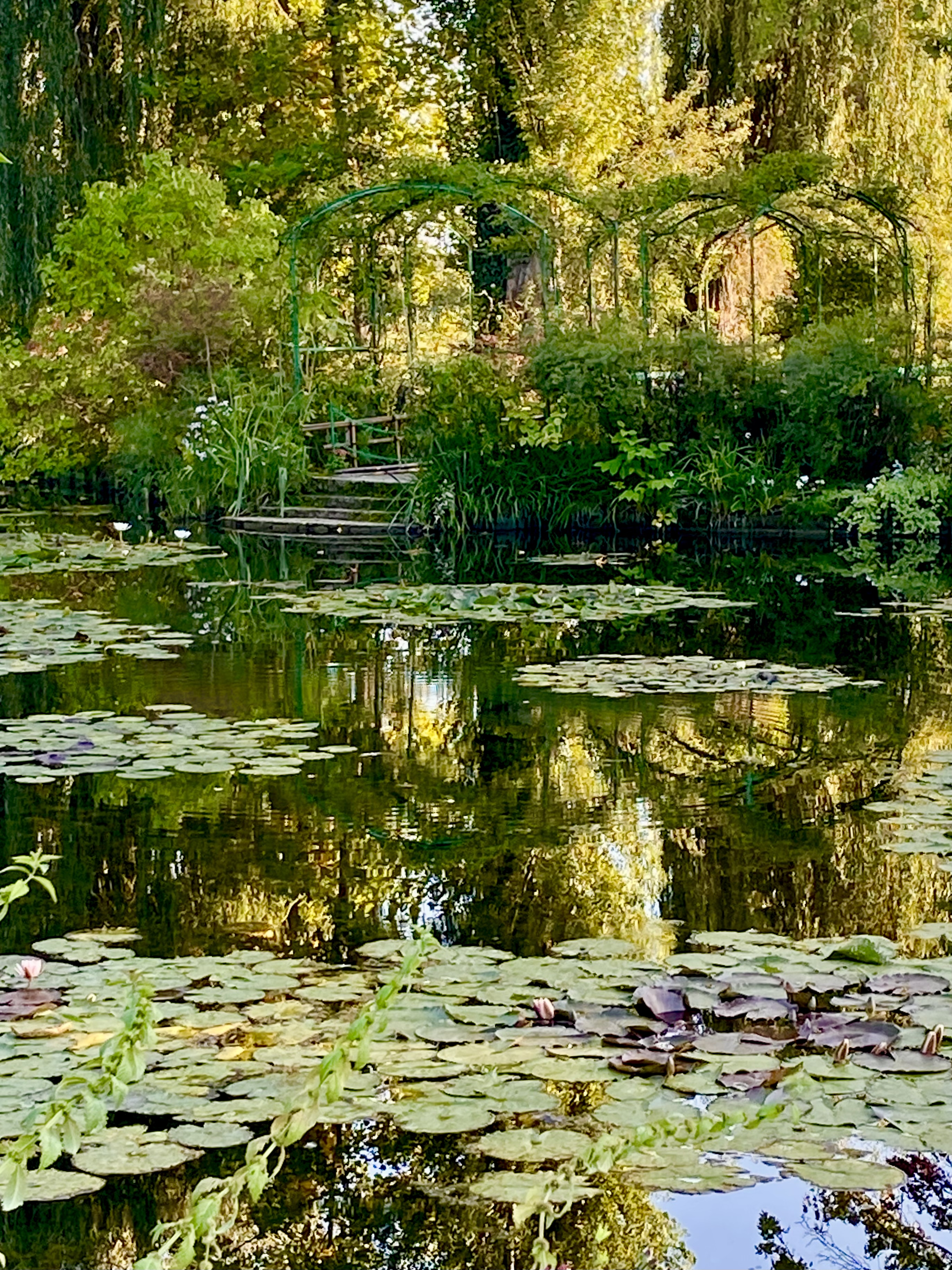 Photo 10 10 2023 17 37 16