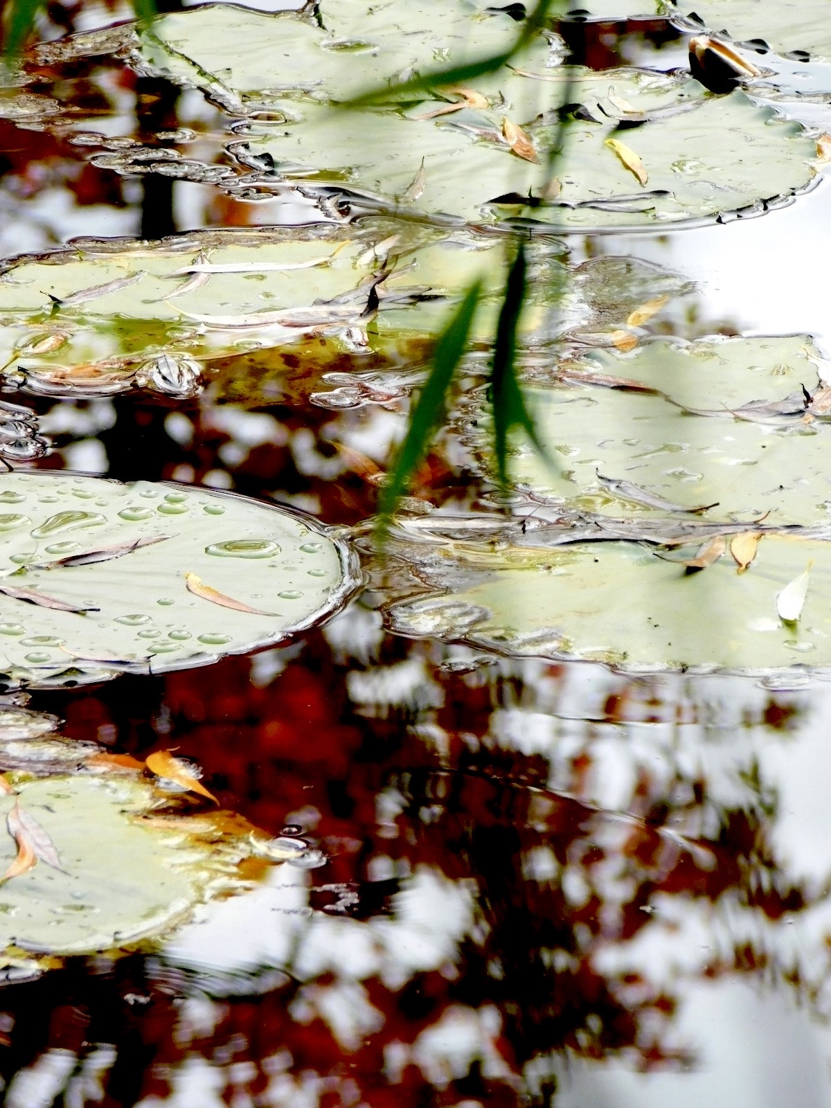 Photo 08 05 2025 12 08 18