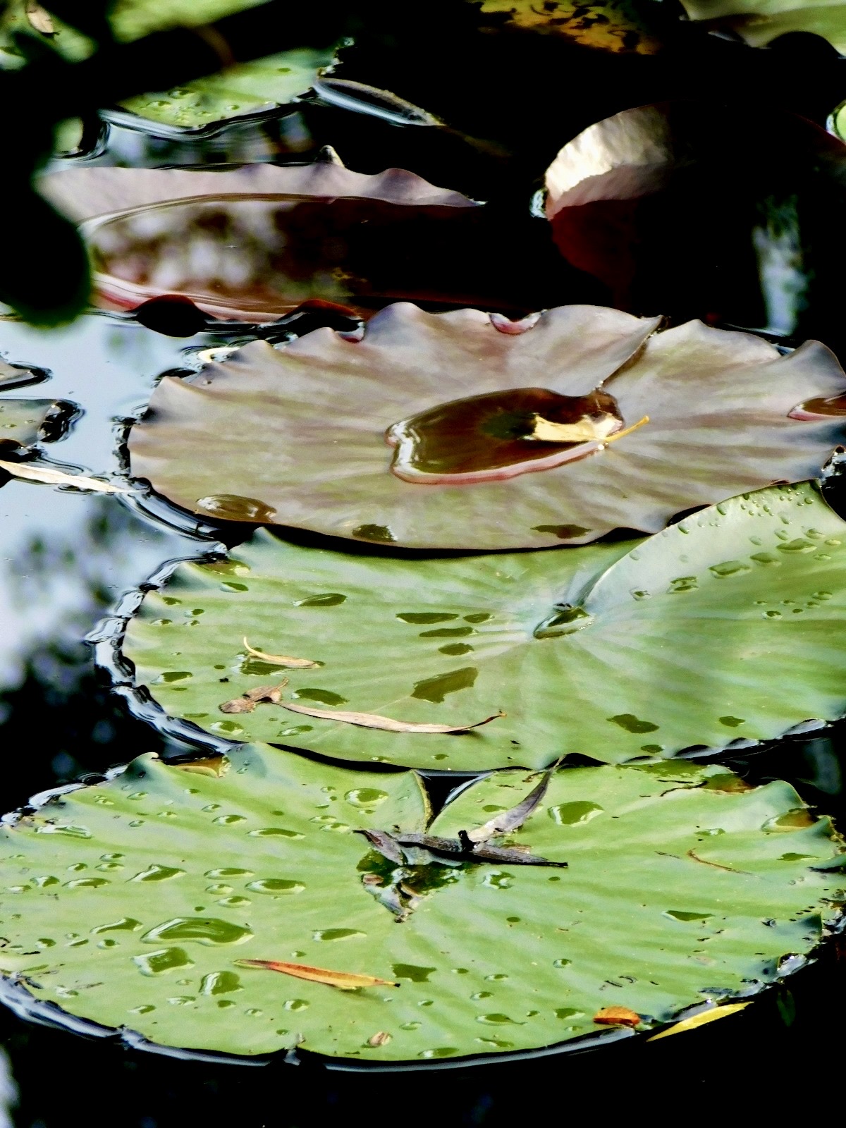 Photo 08 05 2025 12 06 54