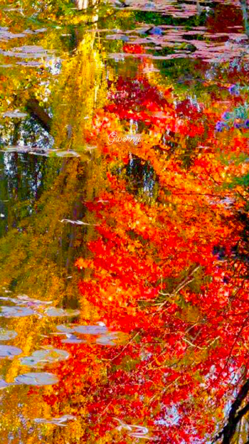 Photo 28 10 2025 10 56 11 1 