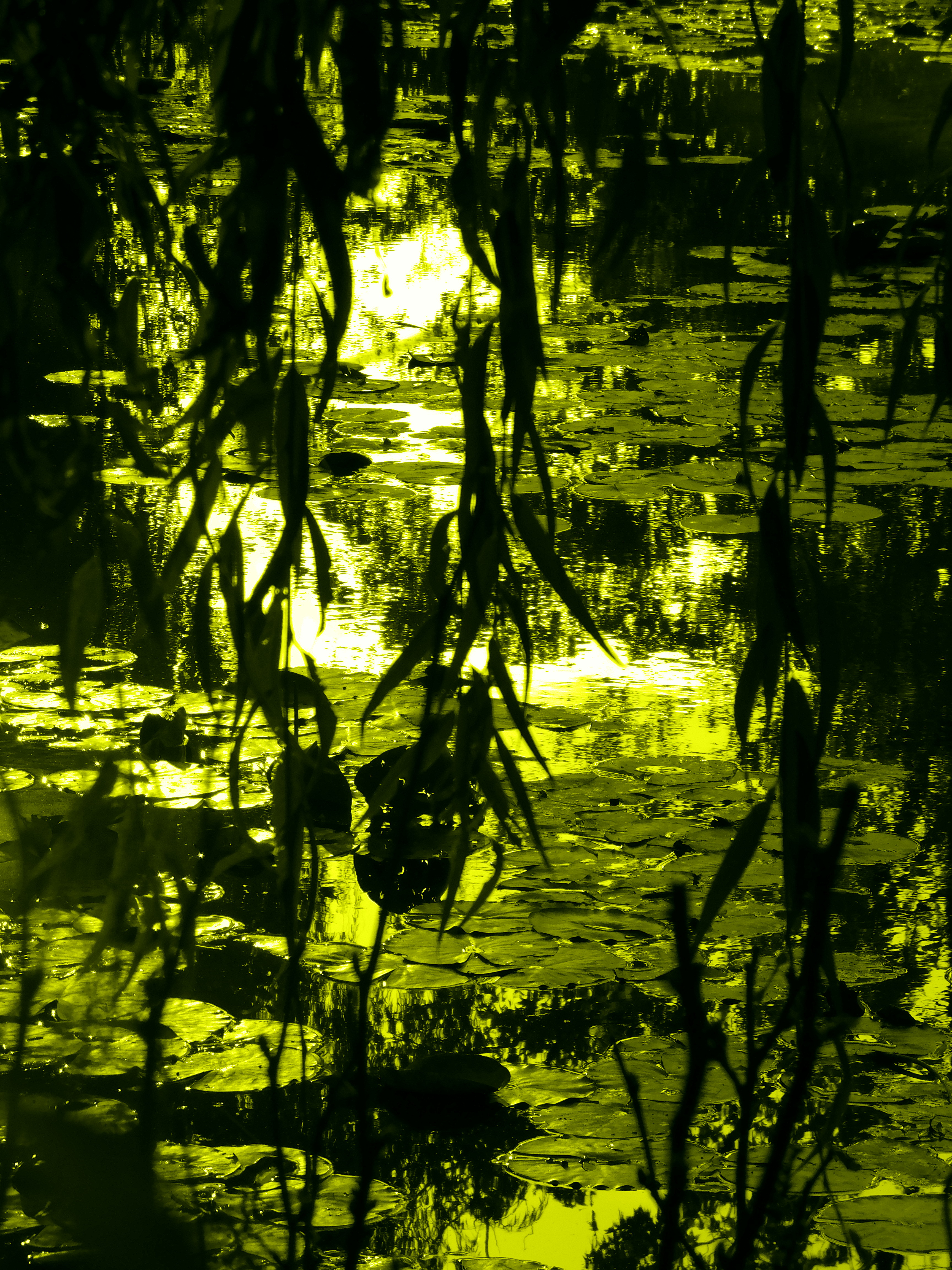 Photo 25 10 2018 16 36 23