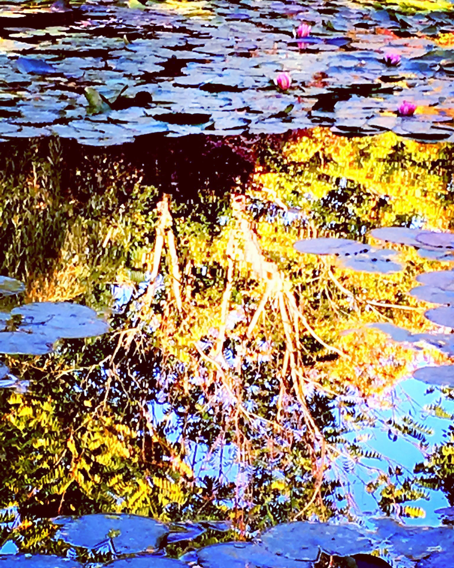 Photo 24 02 2025 15 01 55