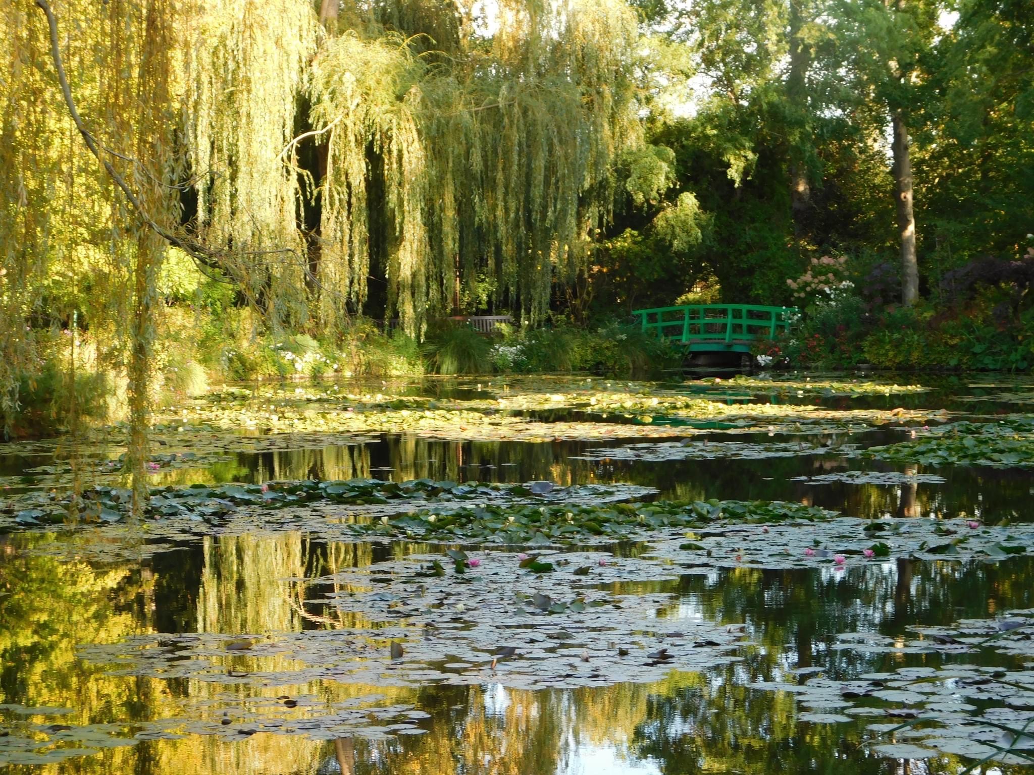 Photo 23 03 2023 16 54 25