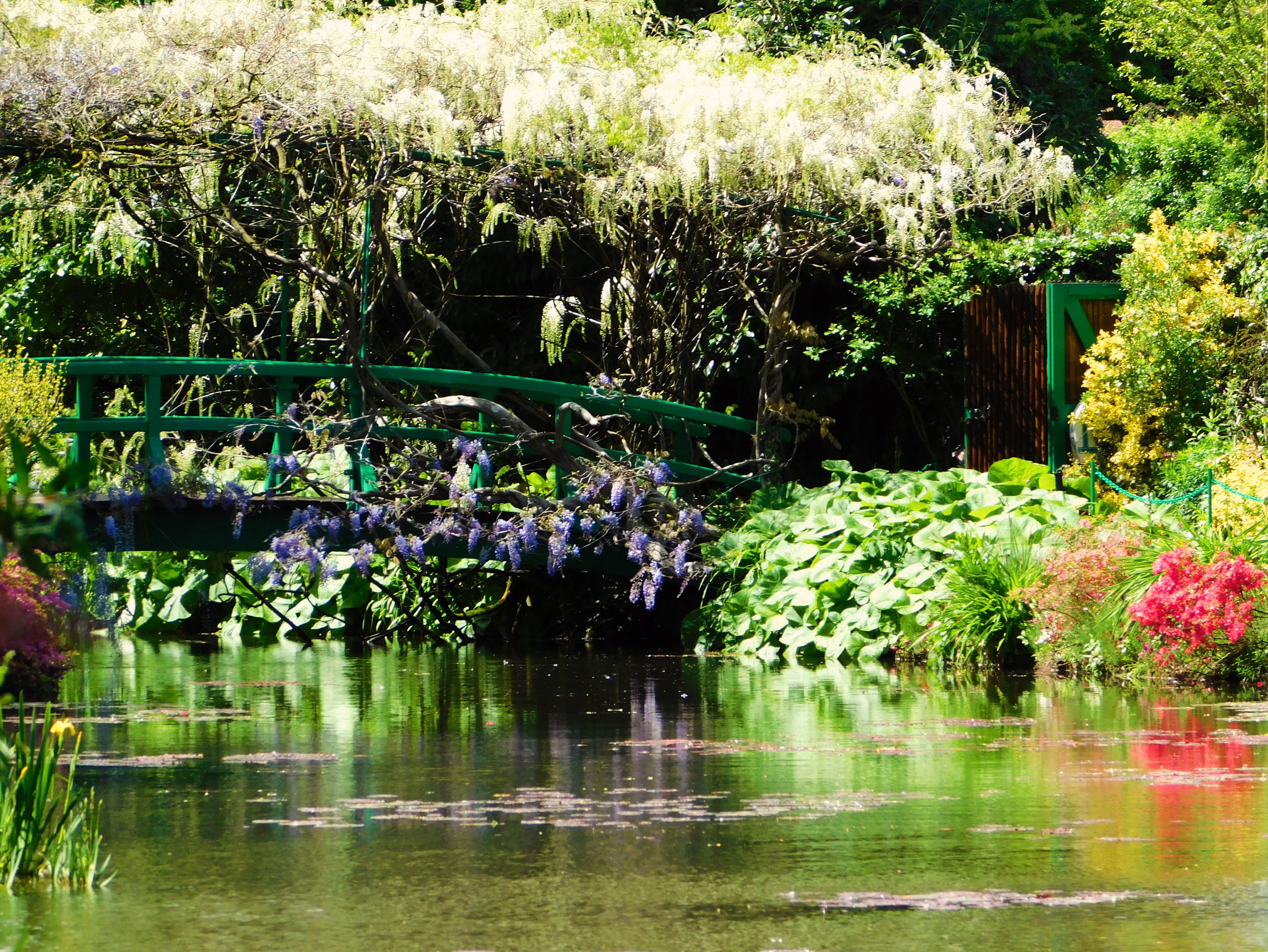 Photo 19 05 2021 14 18 36