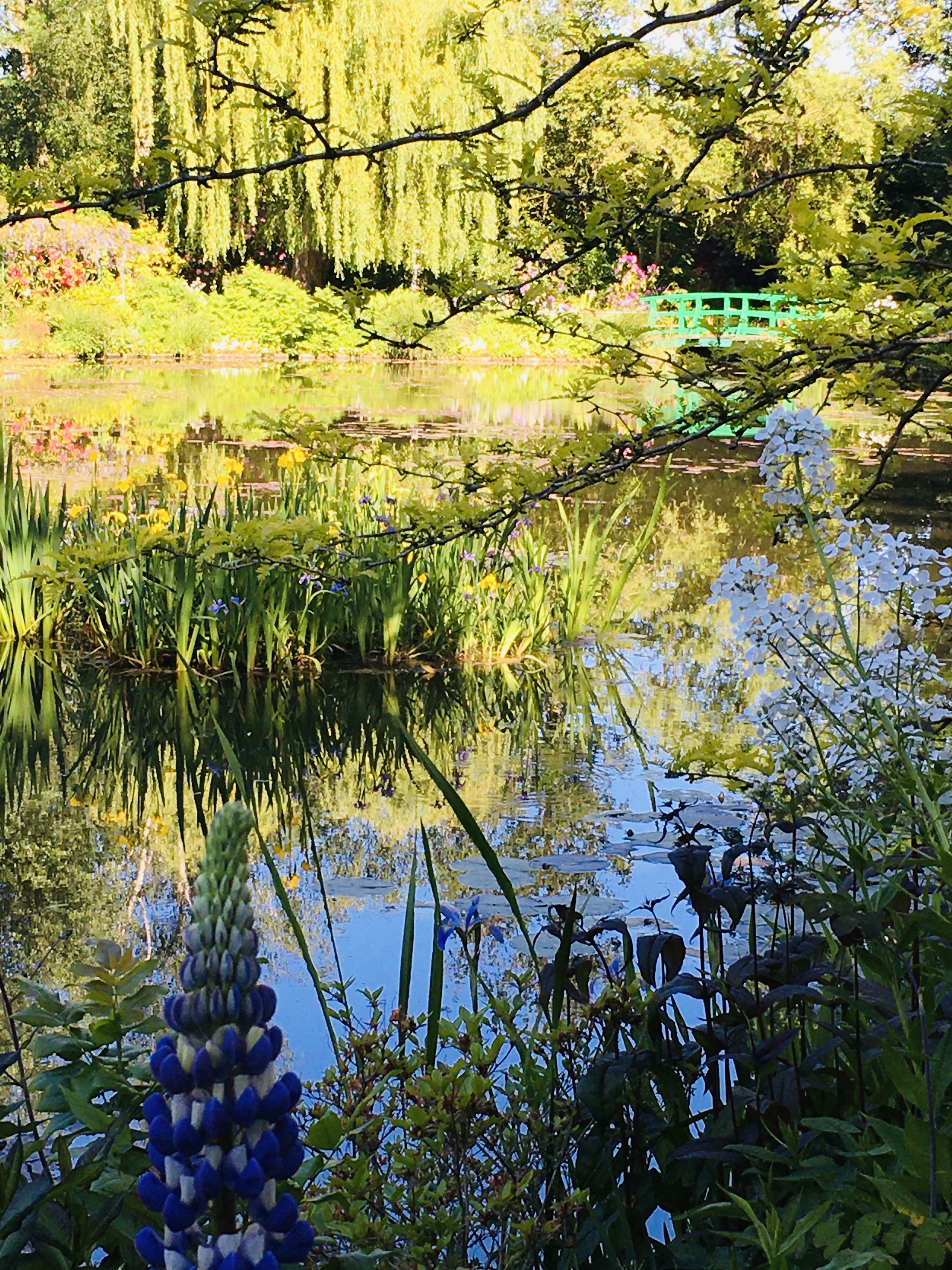 Photo 31 05 2021 17 29 09