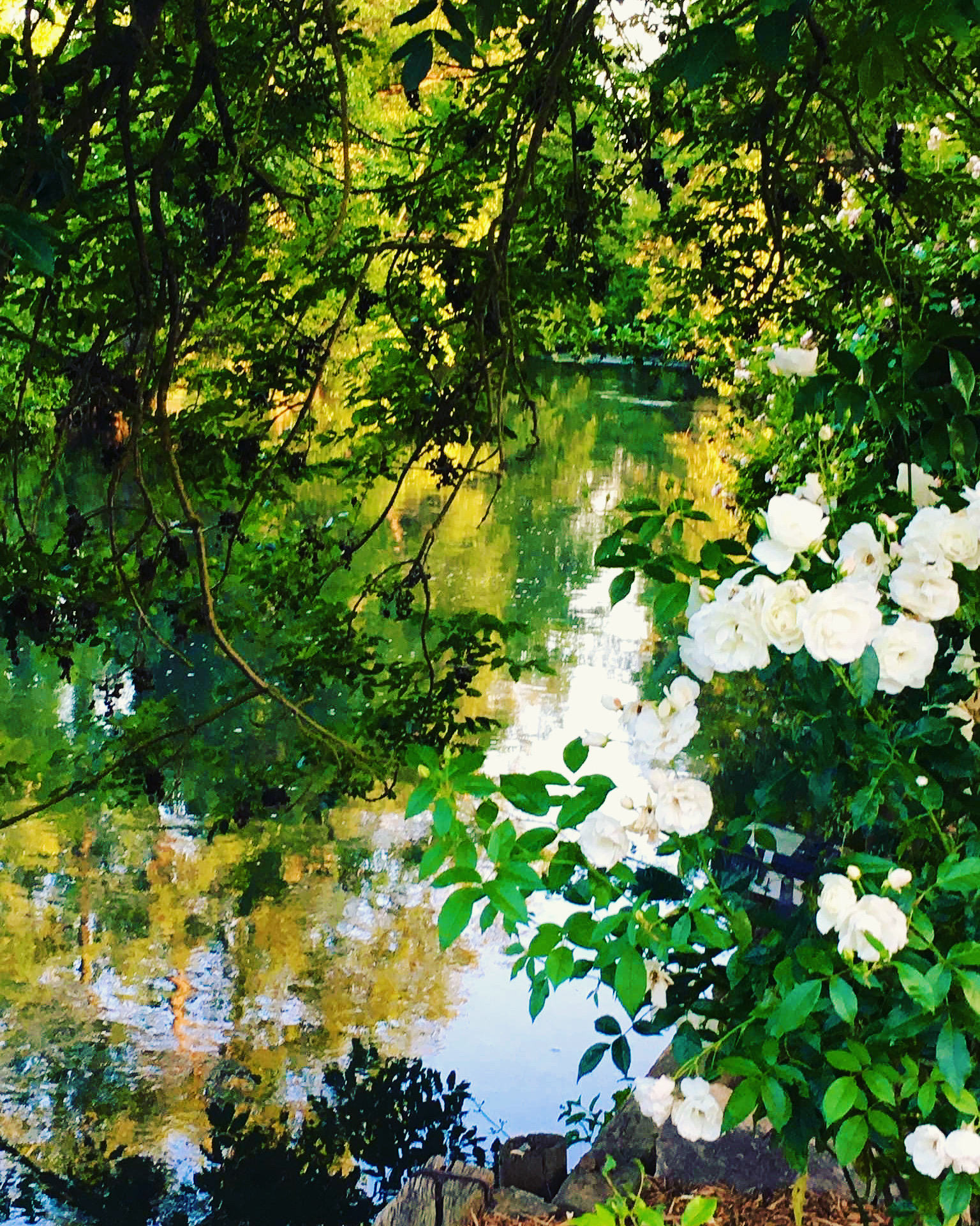 Photo 31 05 2025 19 24 17 5 