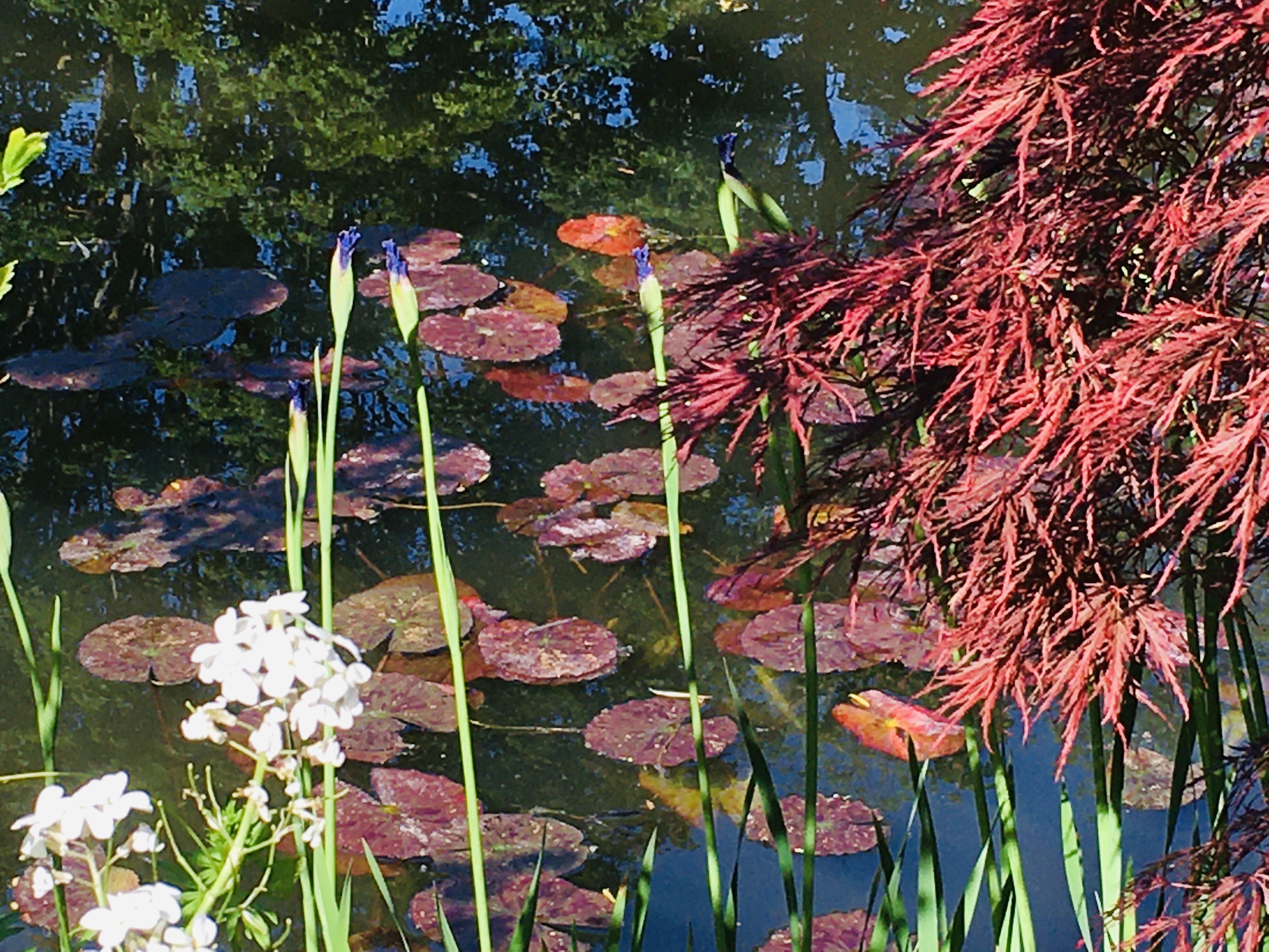 Photo 31 05 2021 17 31 35