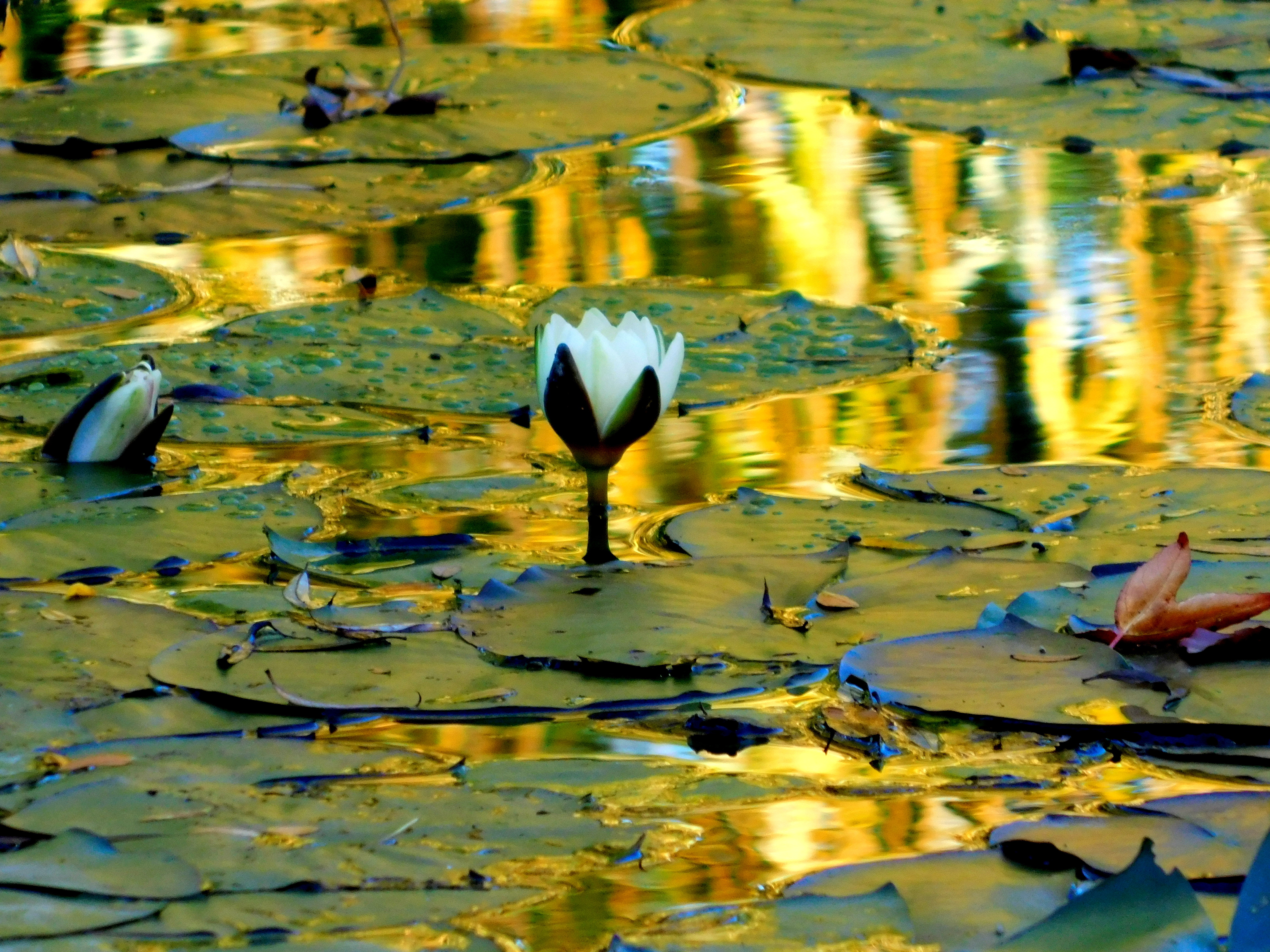 Photo 17 10 2019 15 29 40