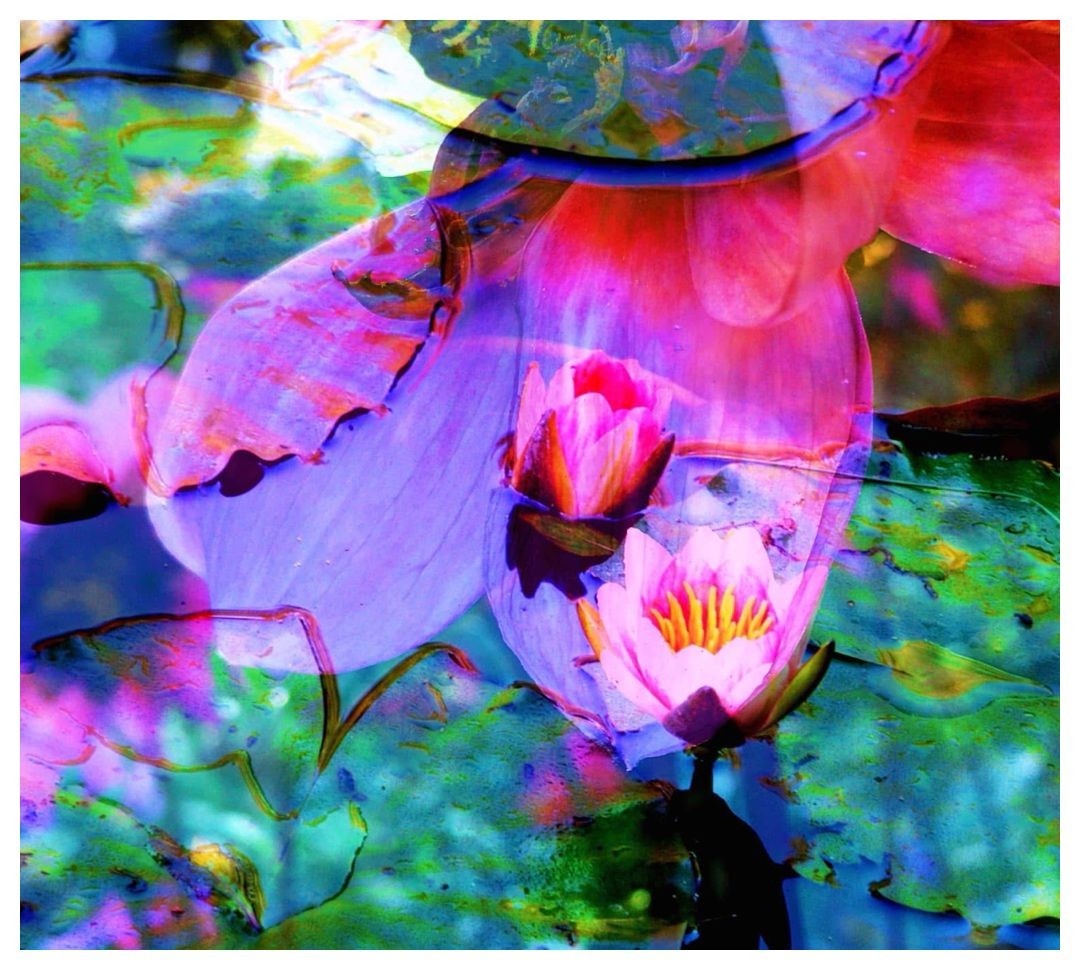3 expo giverny fleurs8