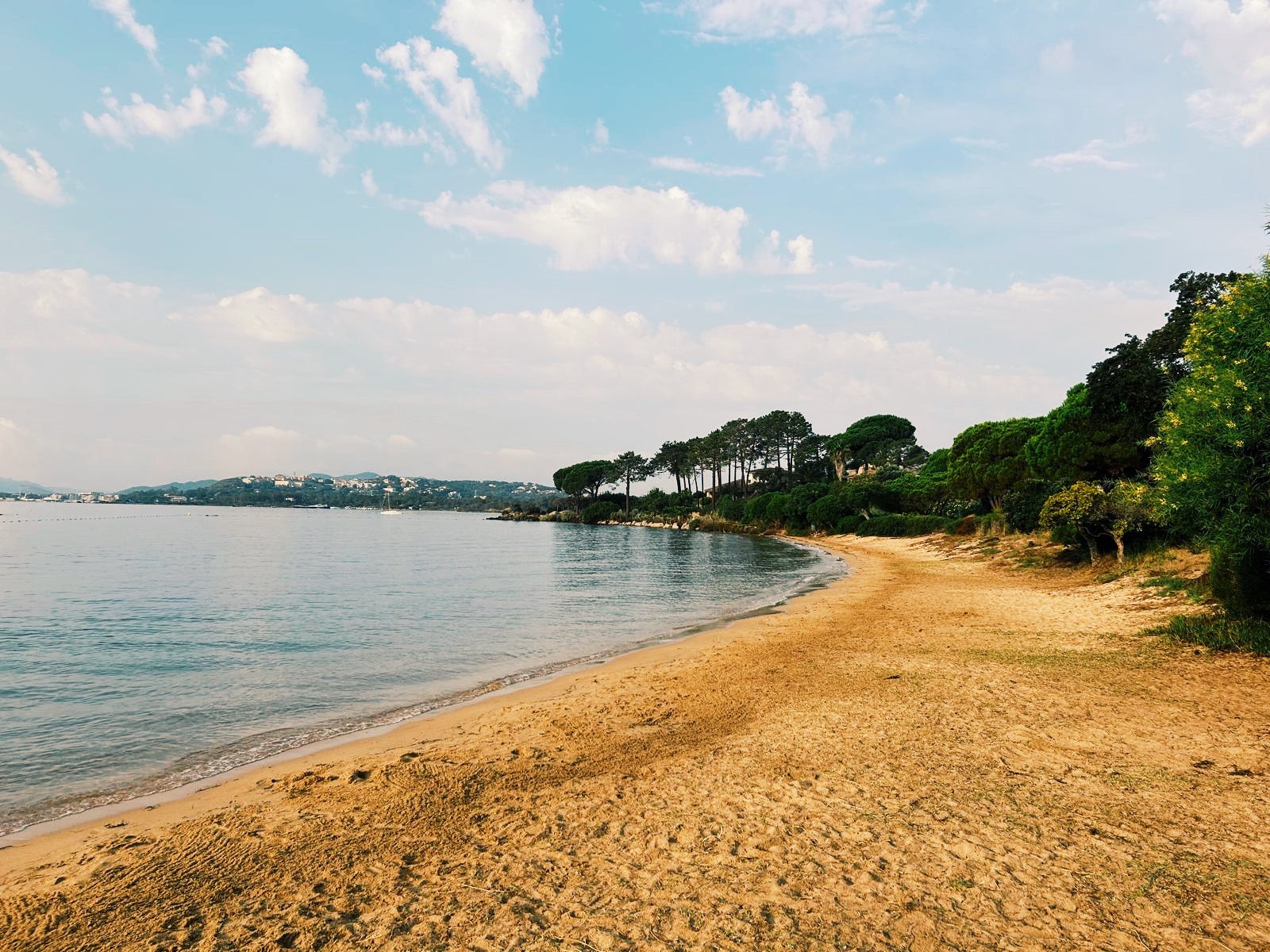 8f618f49 9461 4463 8bbd c914845da28c