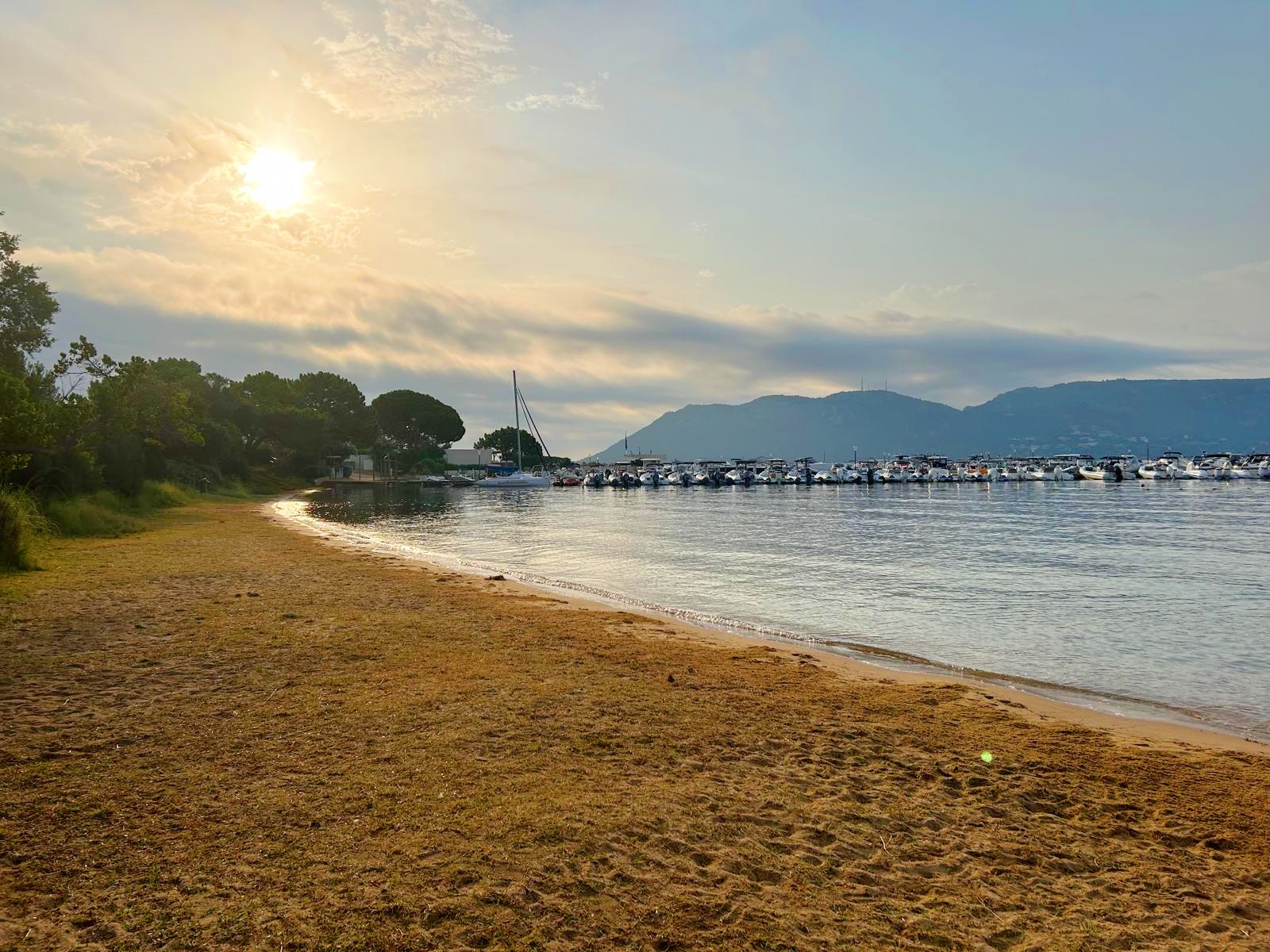 Ec47b3f9 1110 4a98 8f53 f4ddee832b56