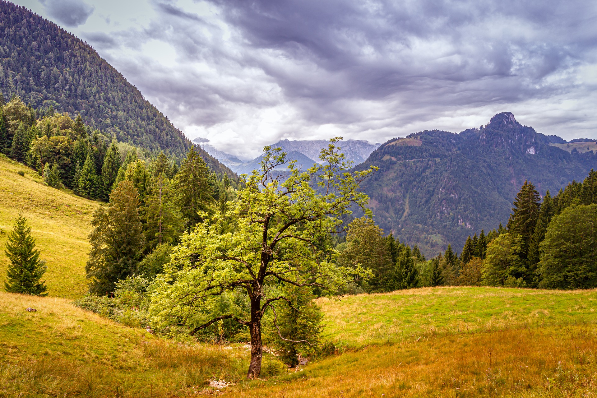 Landscape 4582462 1920