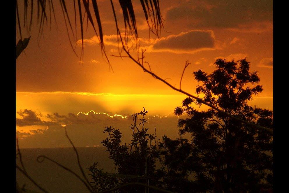 Lo s reunion island 21 