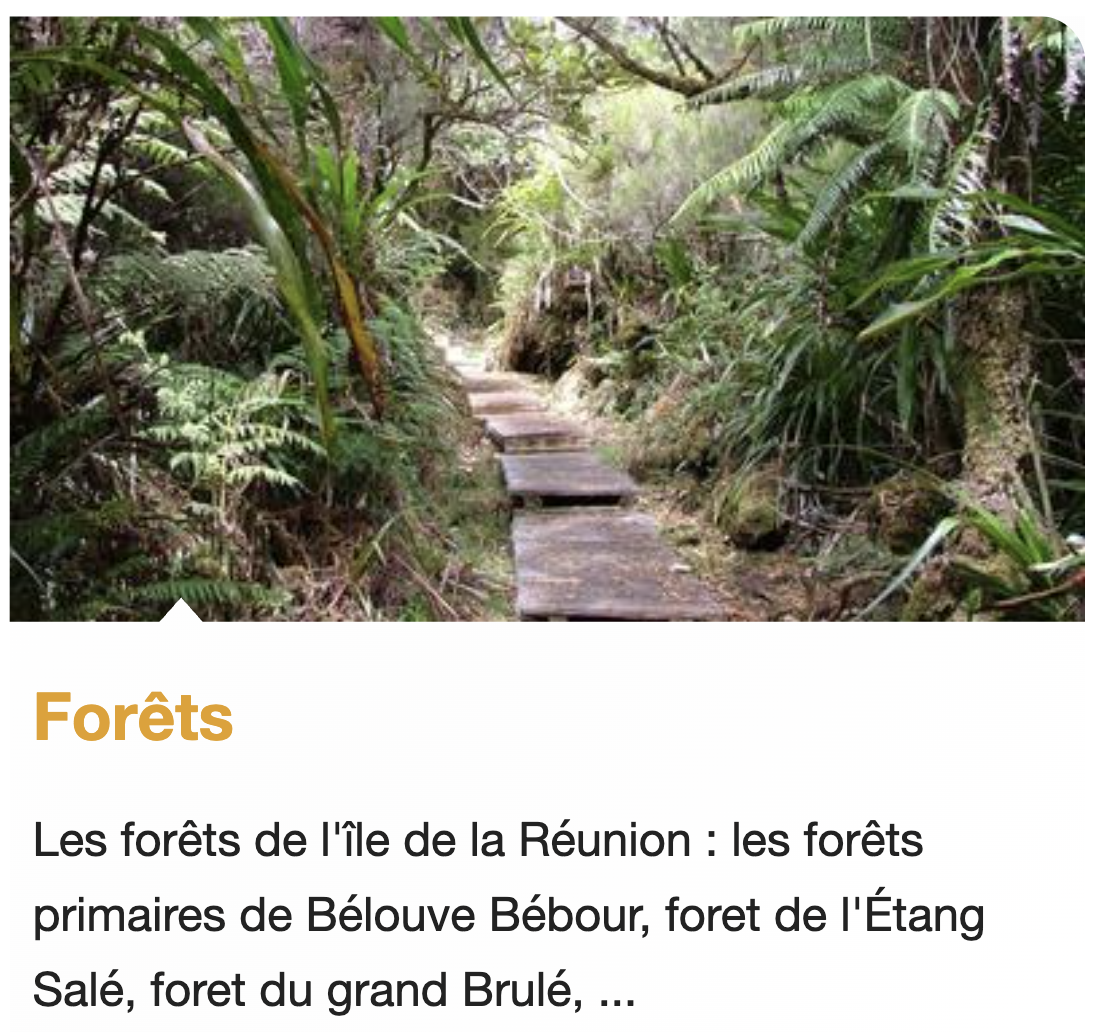 Capture d e cran 2026 01 11 a 11 57 41