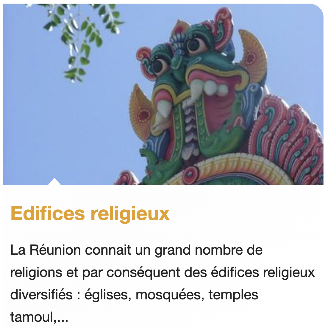 Capture d e cran 2026 01 11 a 11 56 44