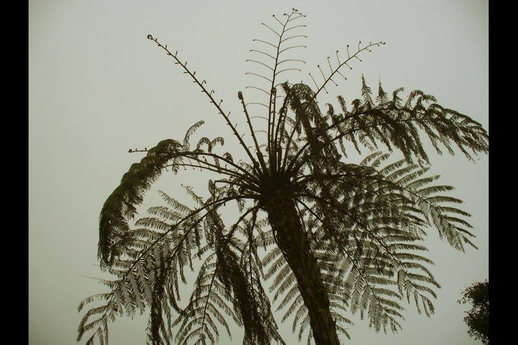 Lo s reunion island 3 