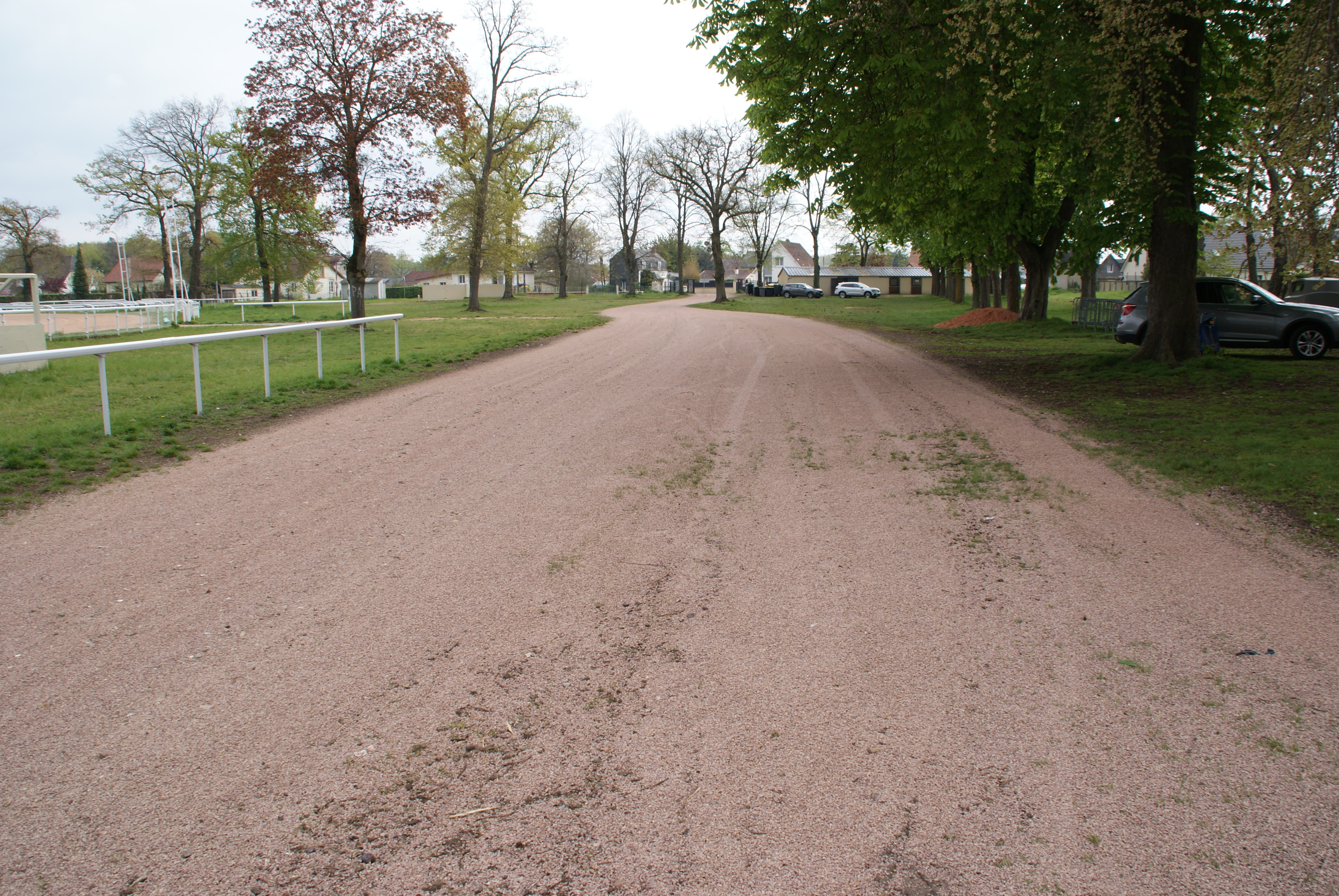 Dsc01356