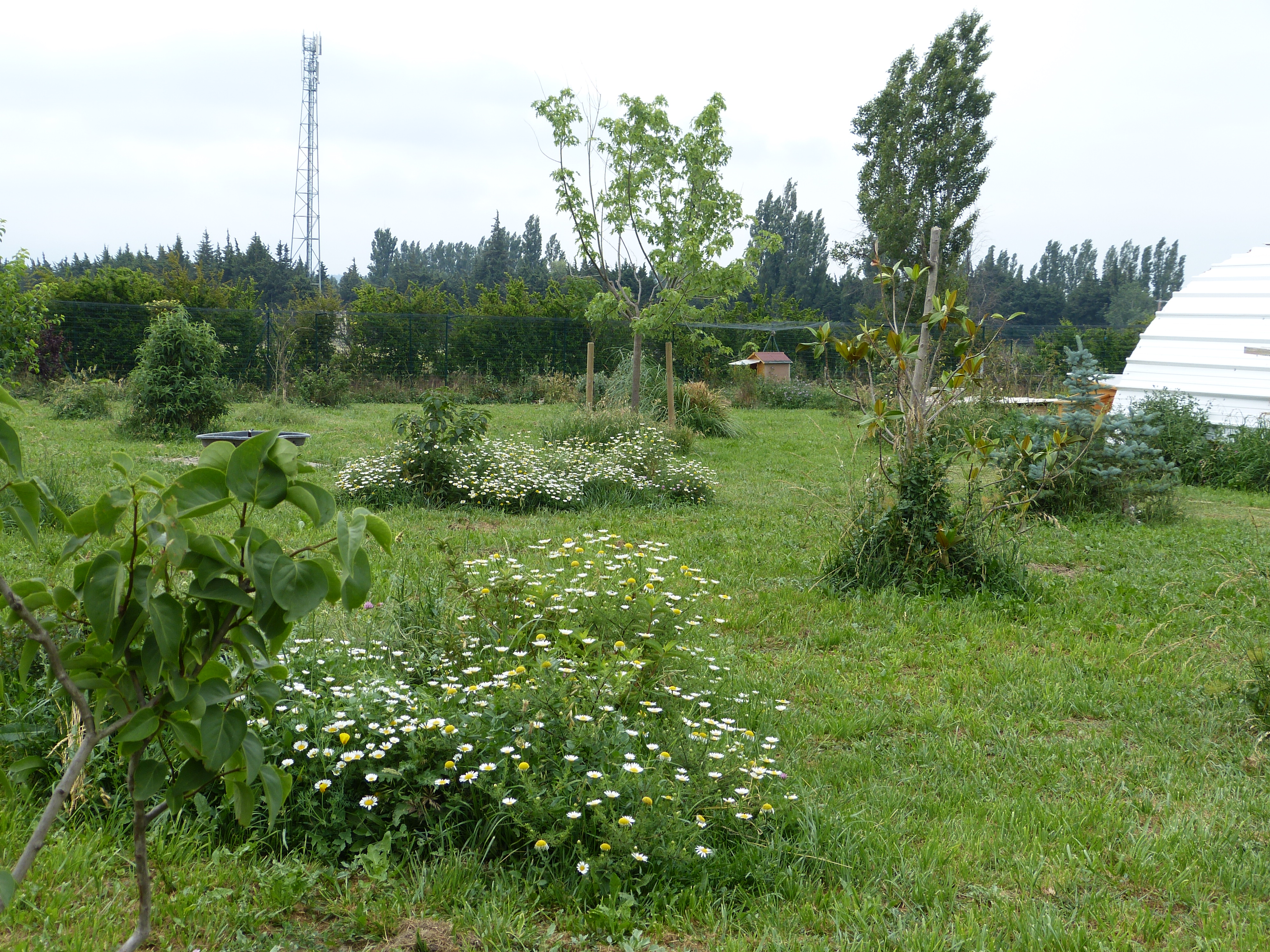 P1000895