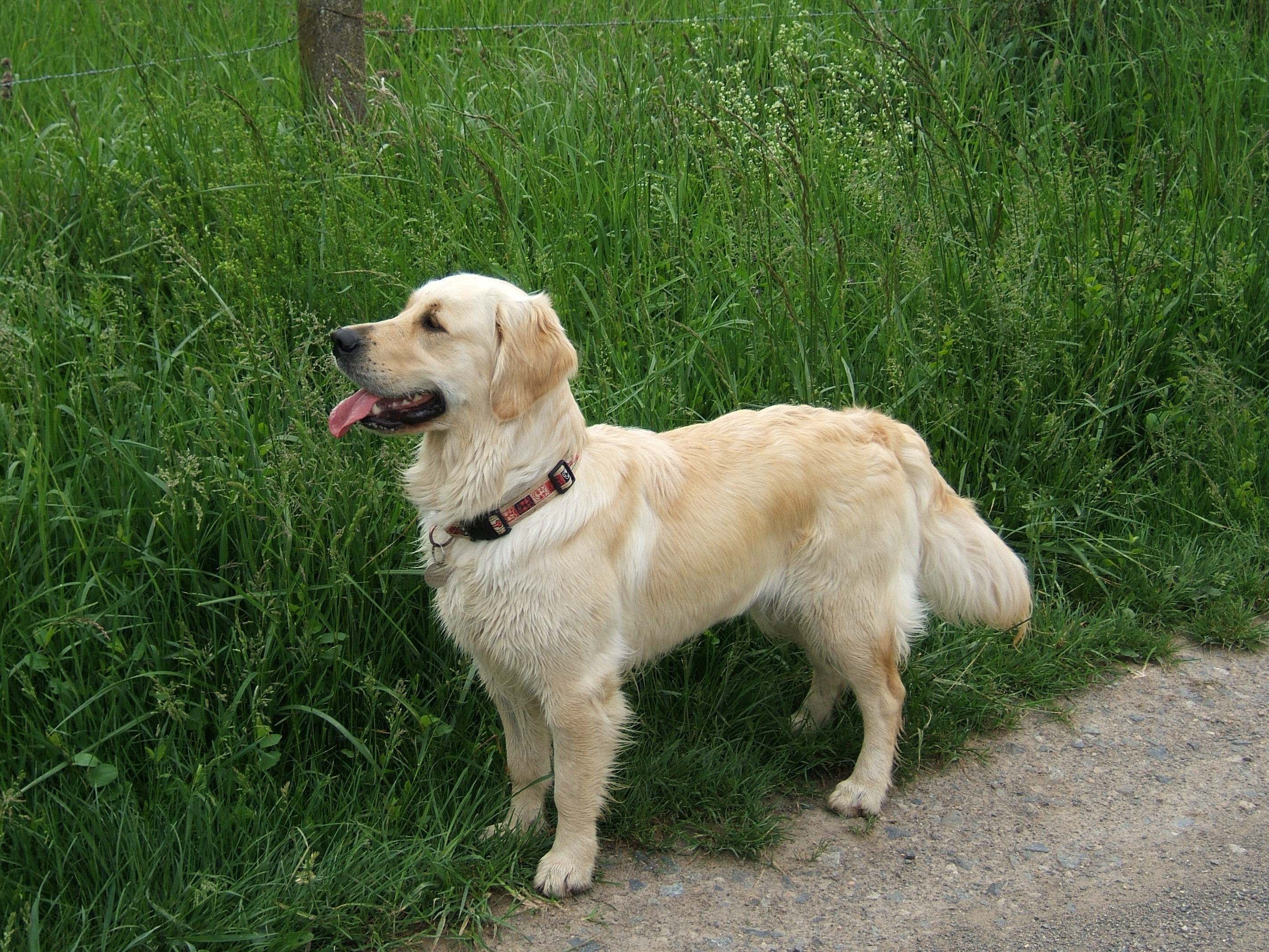 Adelie 07 05 07 promenade cusset 1 2 