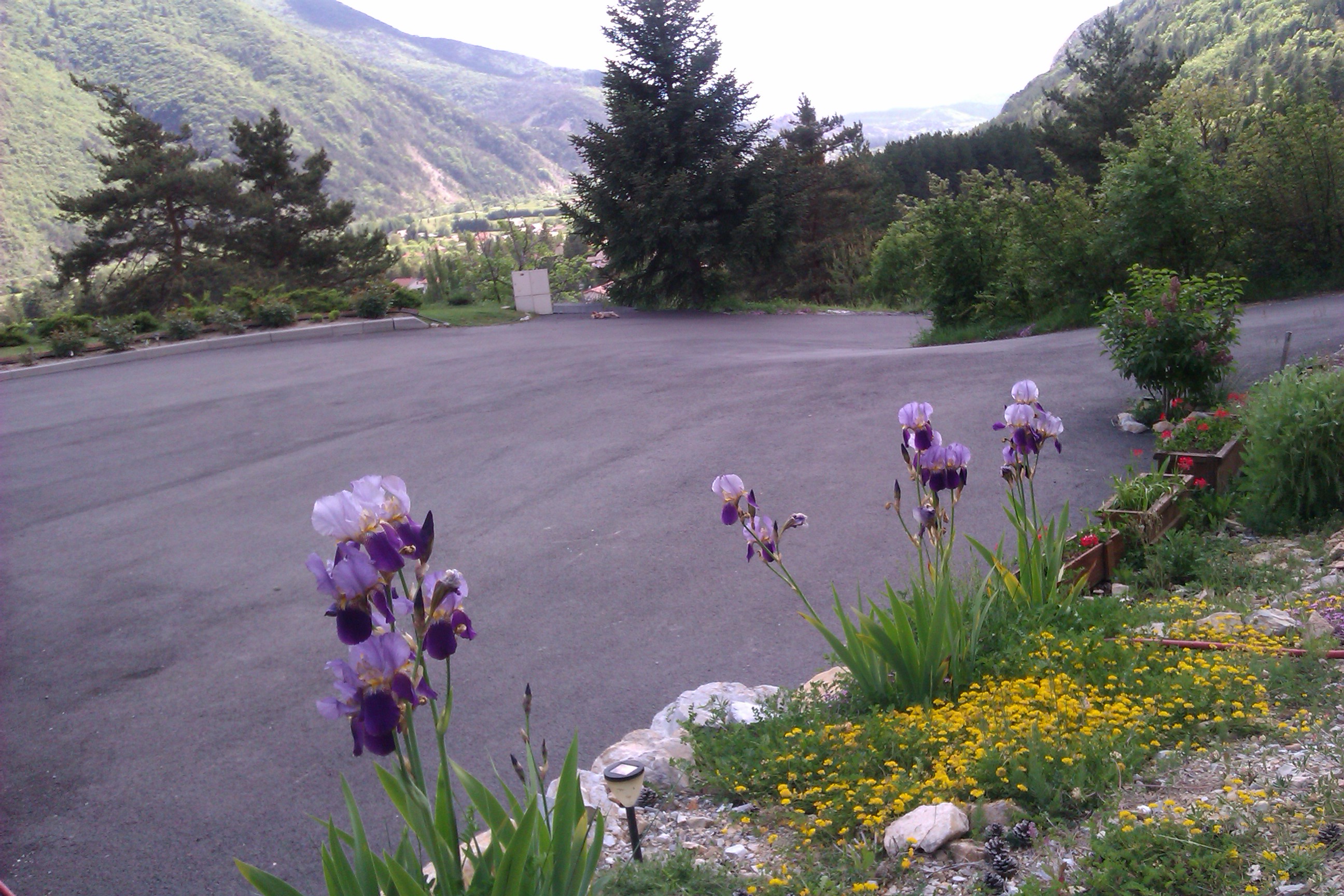 Imag0026