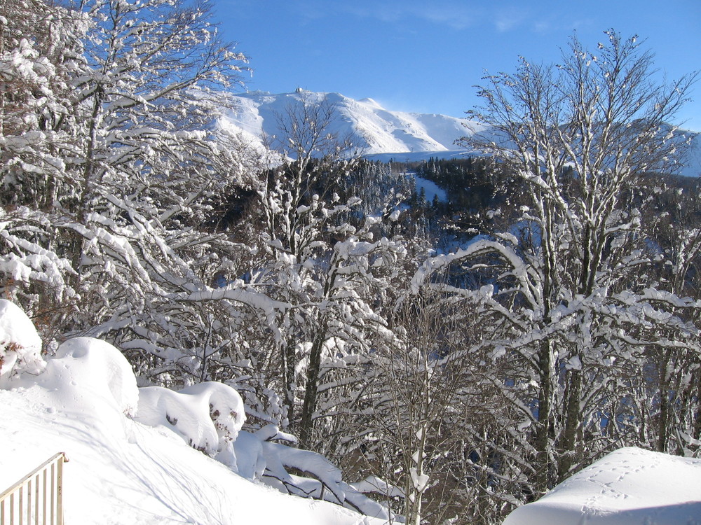Plomb du cantal