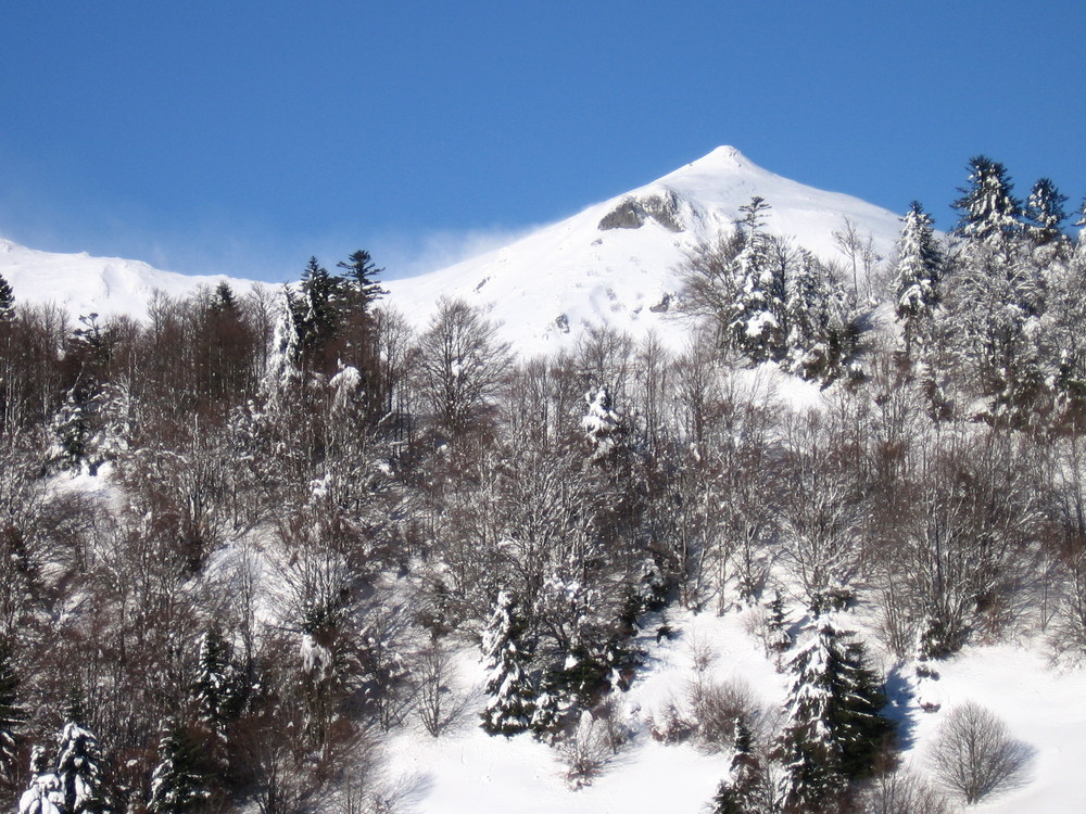 Teton de venus