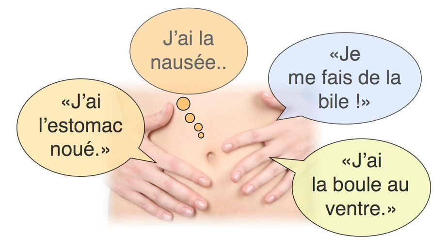 mal a l'estomac, nausée, je me fais de la bile, mal de ventre, oppression, brisé le coeur , se mettre la rate au courbouillon, toutes ses expressions ont un sens car vos émotions, ressentis s'incarne dans vos organes!