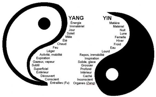 le Yin et le Yang harmonisation